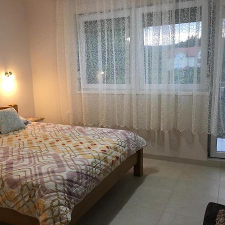 Apartment Vistanova Vrdnik Eksteriør billede