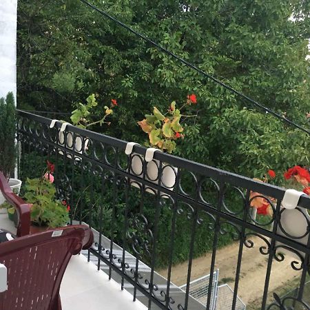 Apartment Vistanova Vrdnik Eksteriør billede